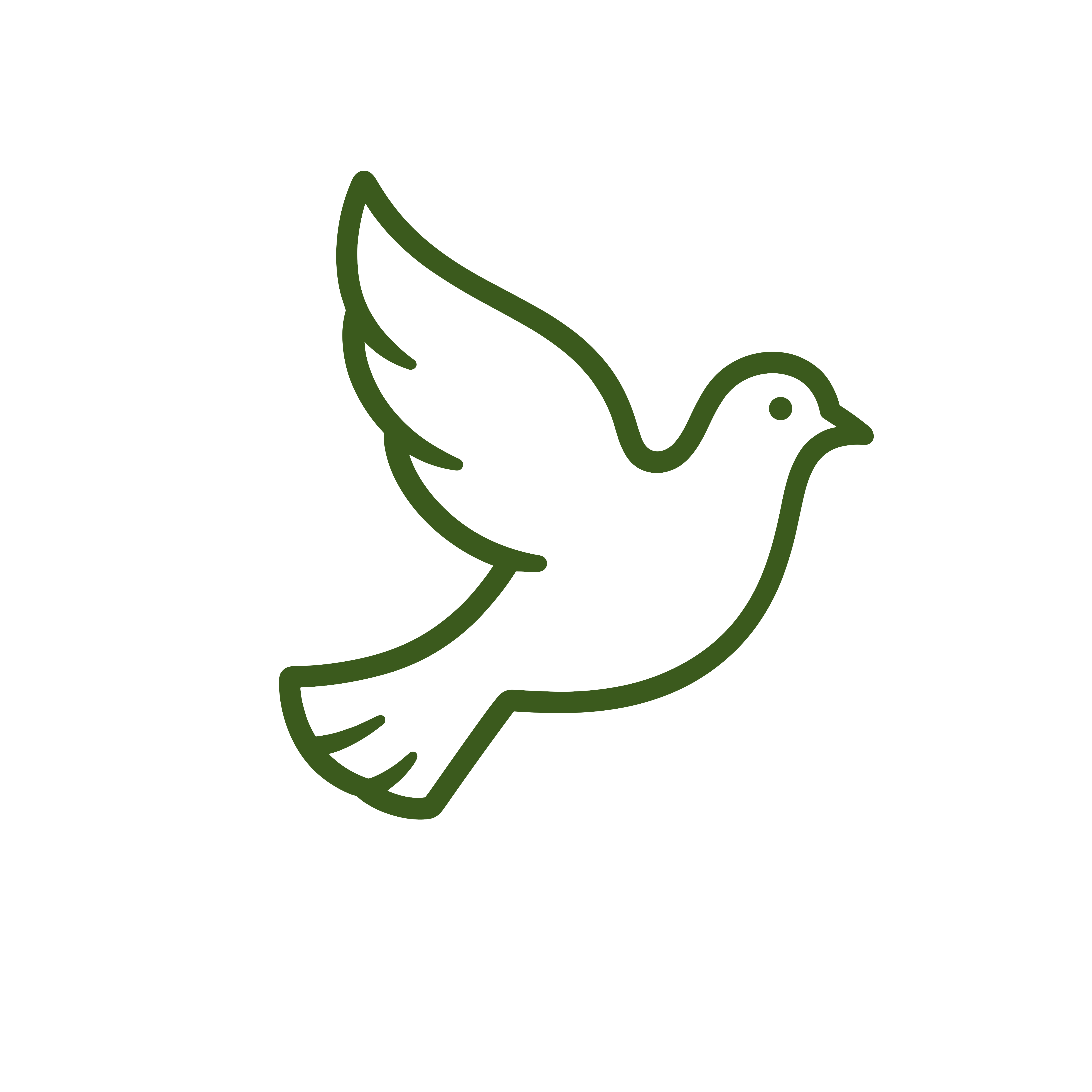 Dove icon
