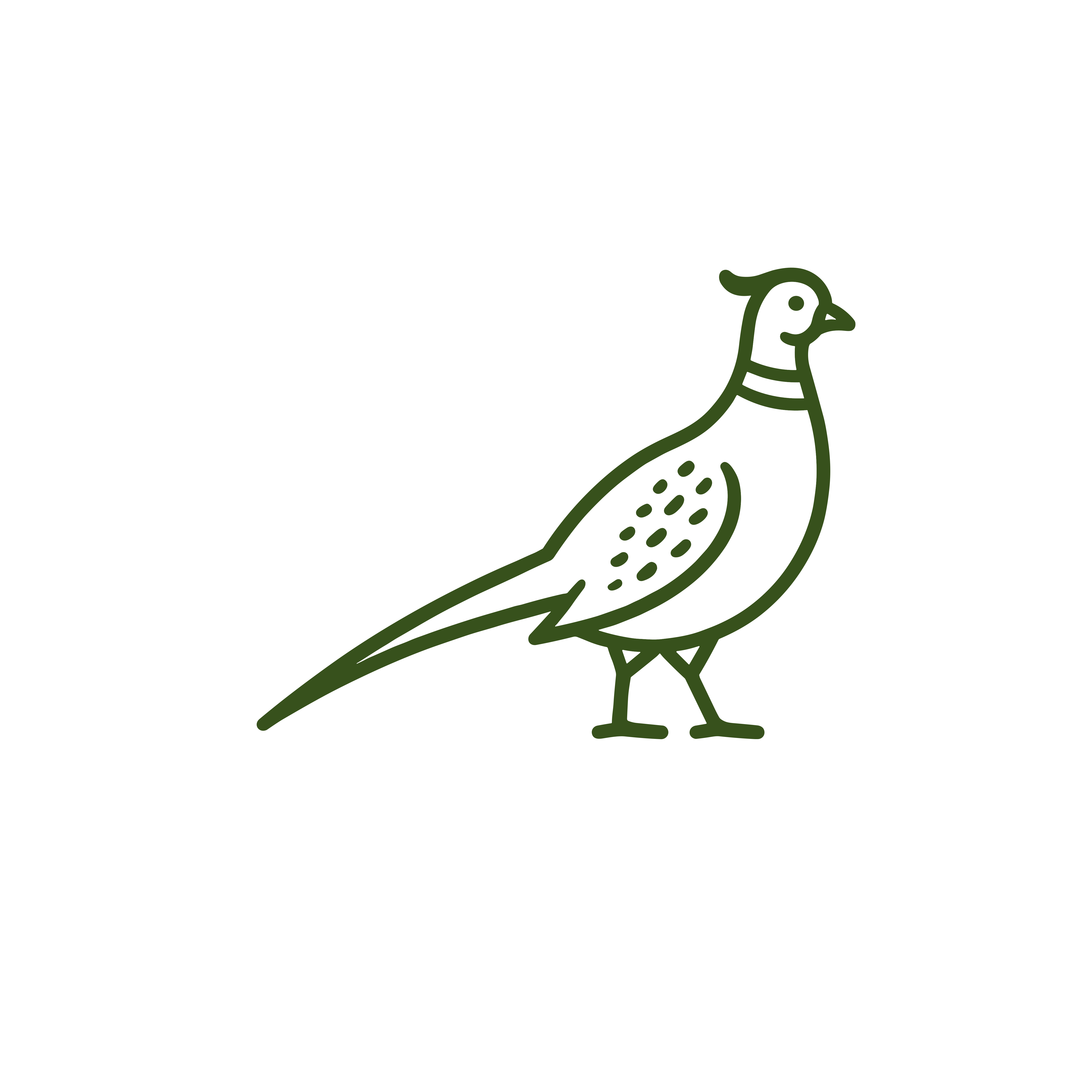 Pheasant icon