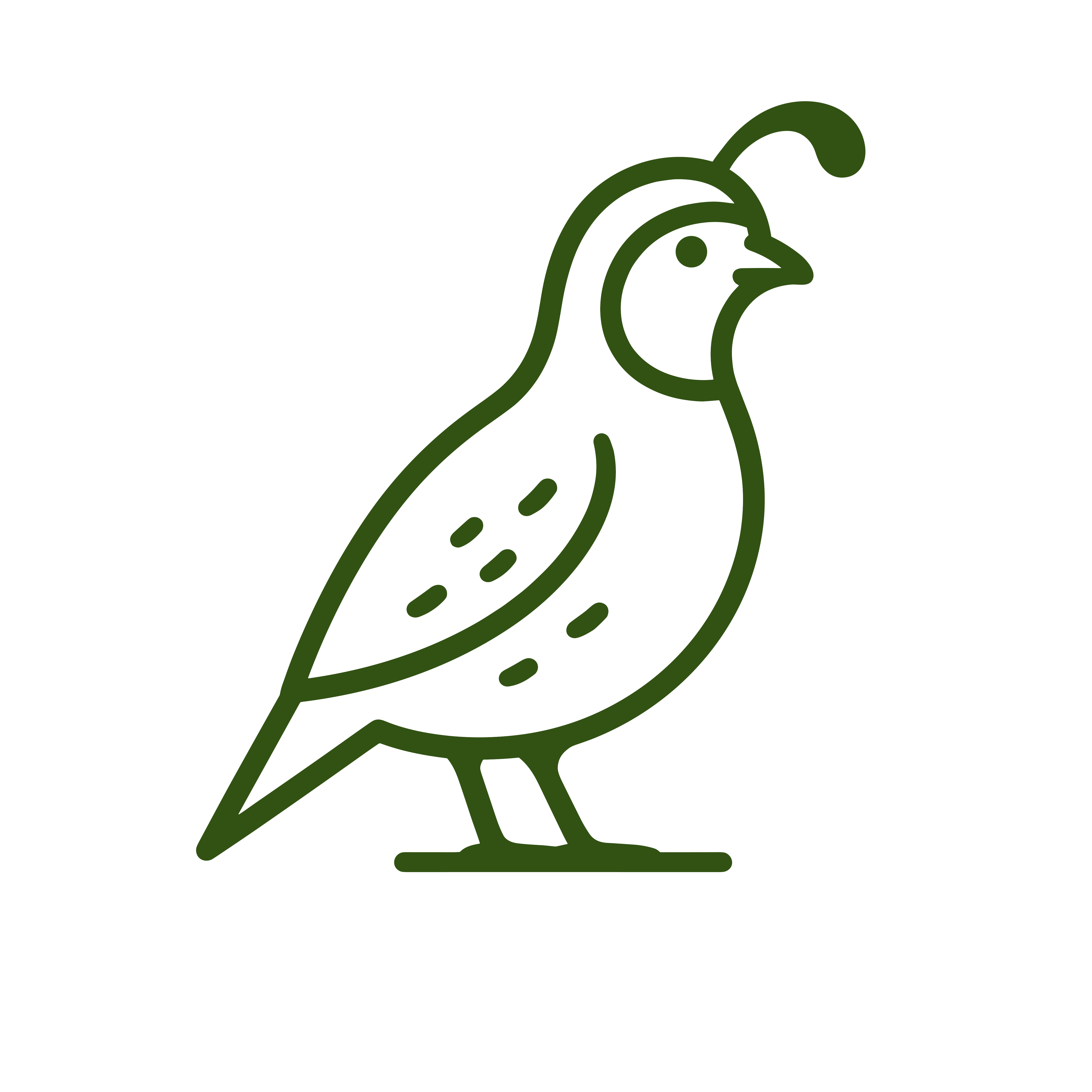 Quail icon