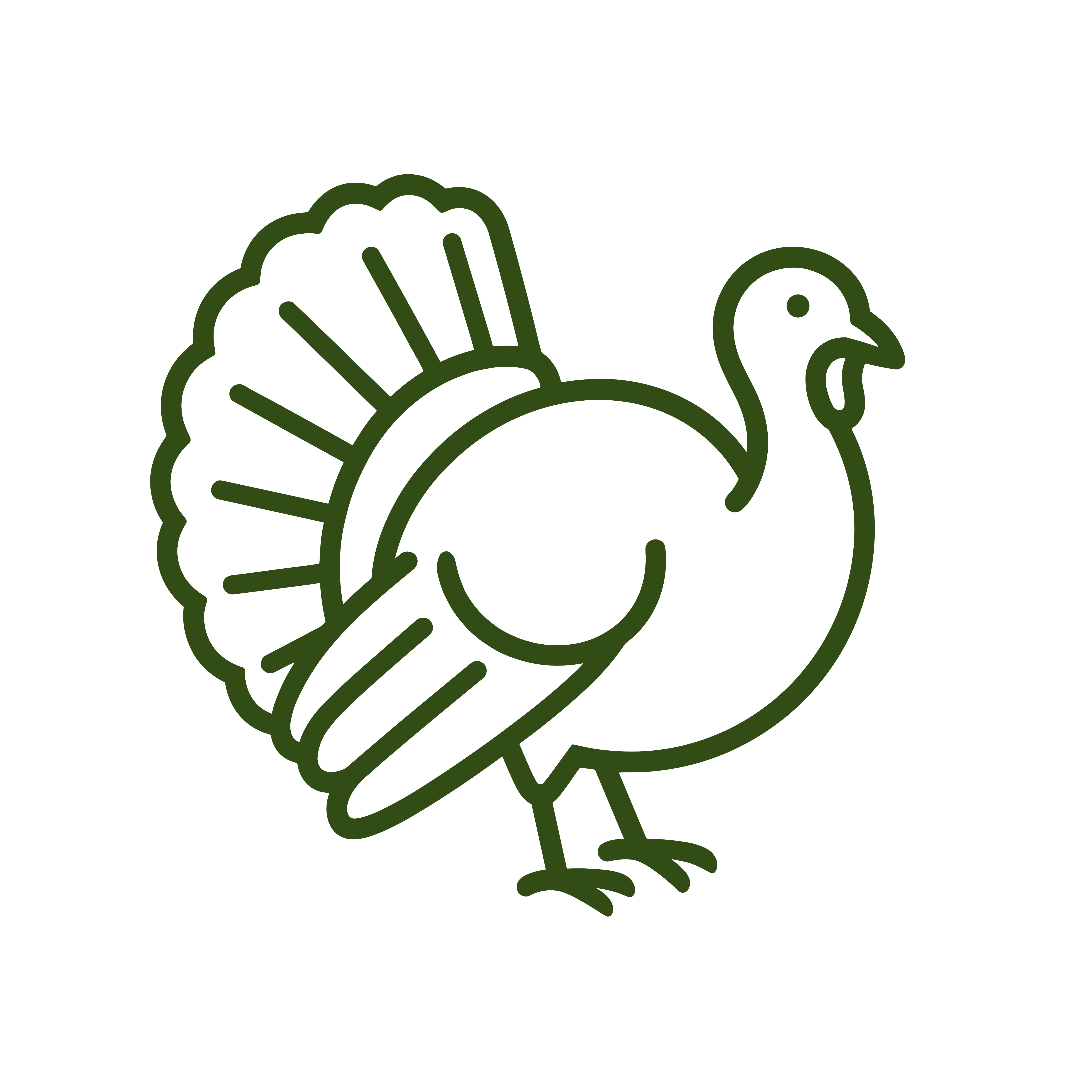 Turkey icon