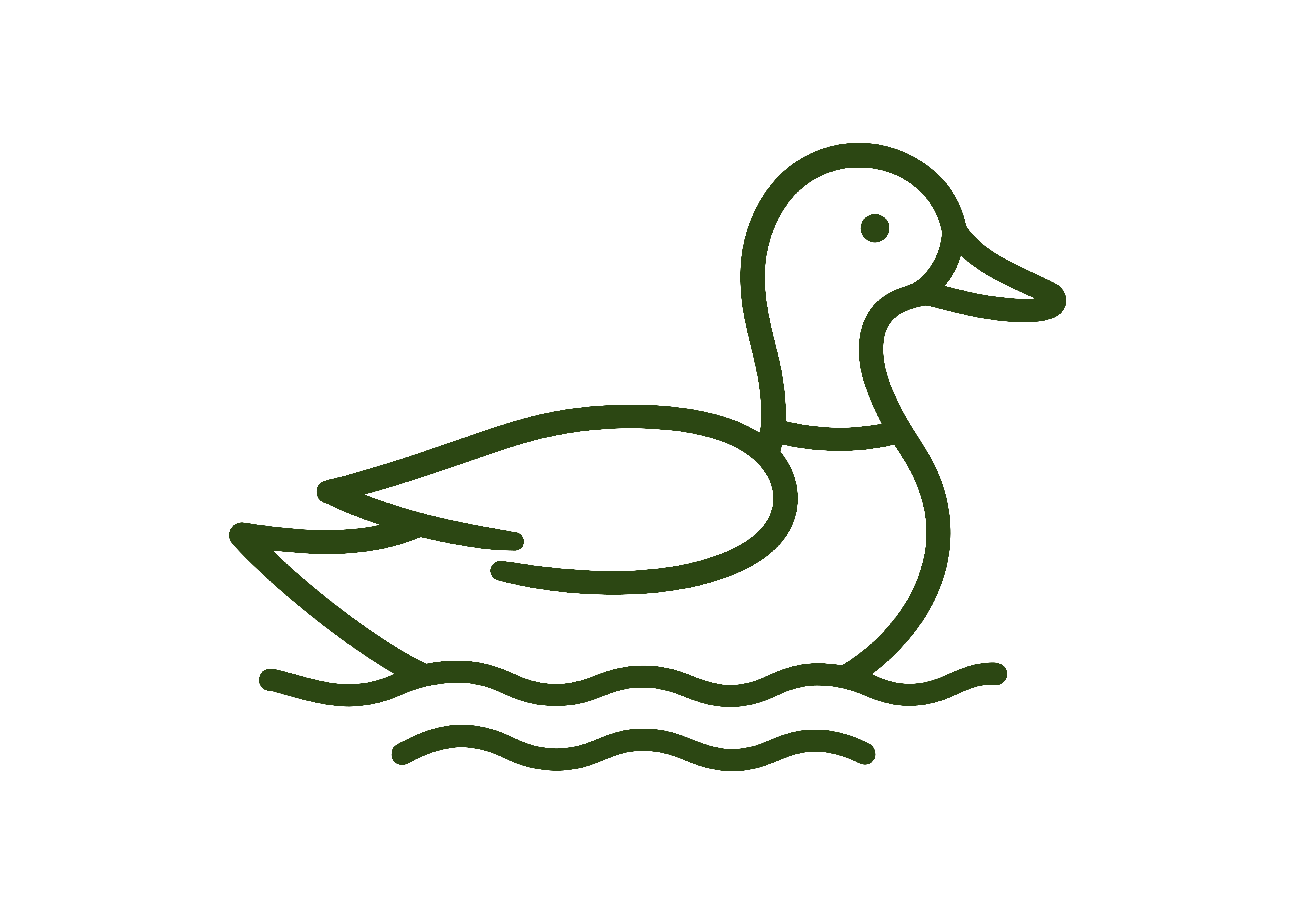 Waterfowl icon